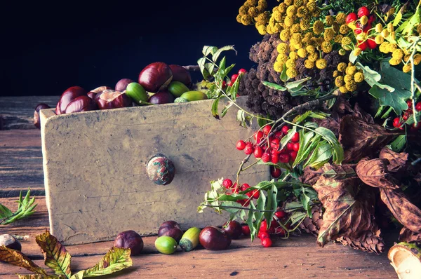 Verdorde bladeren, bloemen en kastanjes op houten achtergrond — Stockfoto
