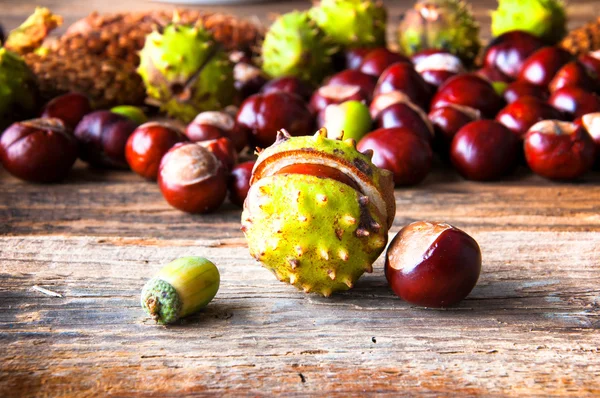 Kestane ve meşe palamutları ahşap tablo