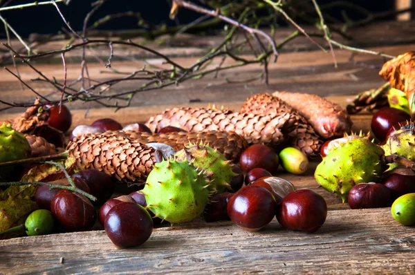 Castanhas, bolotas, folhas secas e ramos em mesa de madeira — Fotografia de Stock