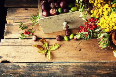 Solmuş yapraklar, çiçekler ve ahşap arka plan üzerinde kestane