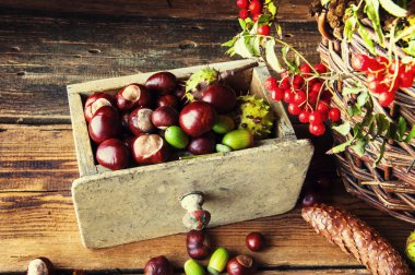 Solmuş yapraklar, çiçekler ve ahşap arka plan üzerinde kestane