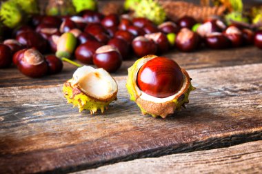 Kestane ve meşe palamutları ahşap tablo