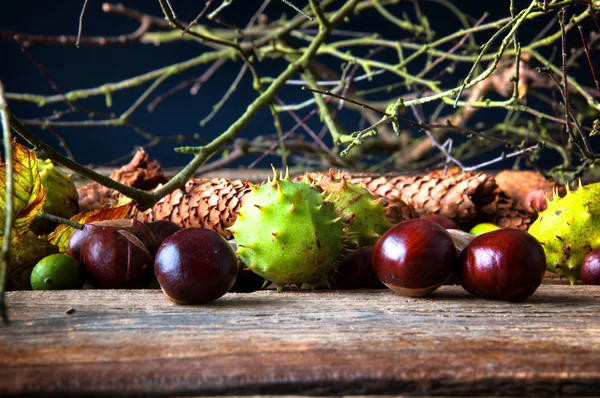 Castanhas, bolotas, folhas secas e ramos em mesa de madeira — Fotografia de Stock