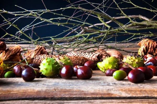 Κάστανα, βελανίδια, τα μαραμένα φύλλα και κλαδιά στο ξύλινο τραπέζι — Φωτογραφία Αρχείου