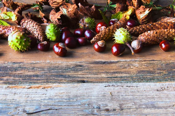 Castagne, ghiande, foglie appassite e coni. Vista dall'alto. Copyspac — Foto Stock