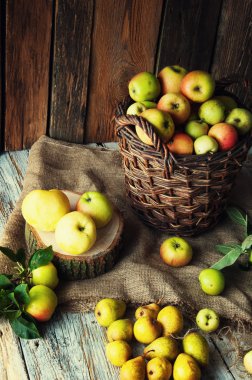 Yabani elma ve armut sepeti