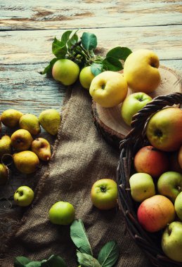 Yabani elma ve armut sepeti