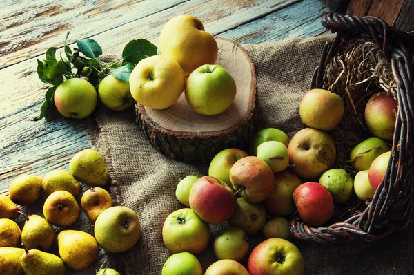 Birnen und Äpfel auf weißem Holztisch — Stockfoto