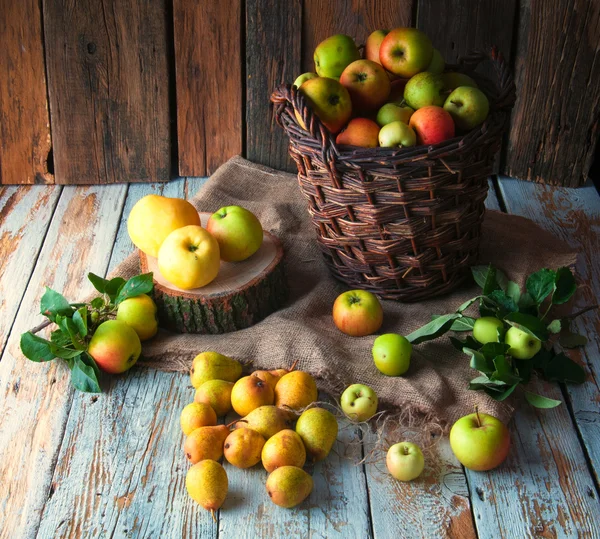 Wilde Äpfel und Birnen im Korb — Stockfoto