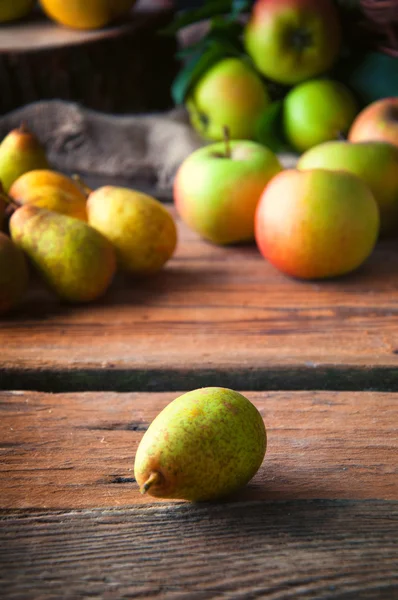 Birne und Äpfel, selektiver Fokus — Stockfoto