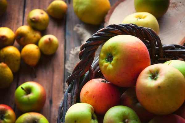 Wilde Äpfel und Birnen im Korb — Stockfoto