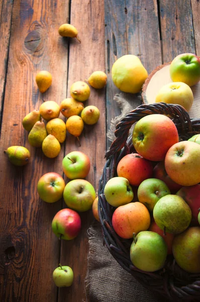 Wilde Äpfel und Birnen im Korb — Stockfoto