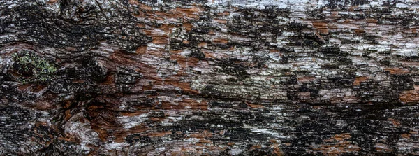 木板面の経年変化 — ストック写真