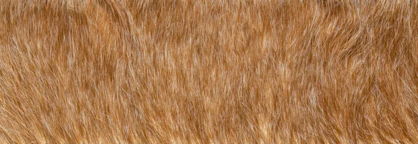 Close Van Bruine Bont Textuur — Stockfoto