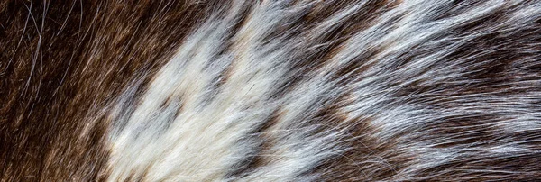 Close Van Bruine Bont Textuur — Stockfoto