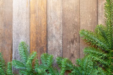 Ahşap arka planda noel ağacı dalları