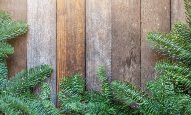 Ahşap arka planda noel ağacı dalları