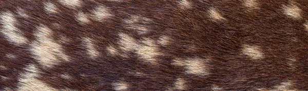 Texture Natural Wild Brown Fur Background — Stock Photo, Image