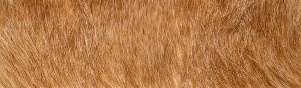 Textuur Van Natuurlijke Wilde Bruine Vacht Achtergrond — Stockfoto