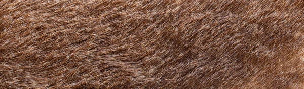 Doğal Kahverengi Kürk Arka Planının Dokusu — Stok fotoğraf