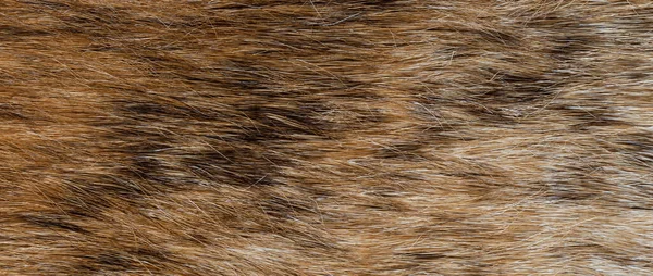 Texture Natural Wild Brown Fur Background — Stock Photo, Image