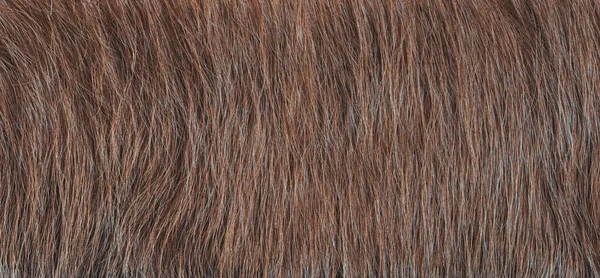 天然の褐色の毛の質感 — ストック写真