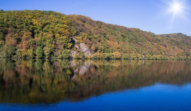 Göldeki ağaçların yansıması