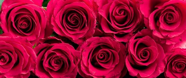 Фон Букета Розовых Роз — стоковое фото