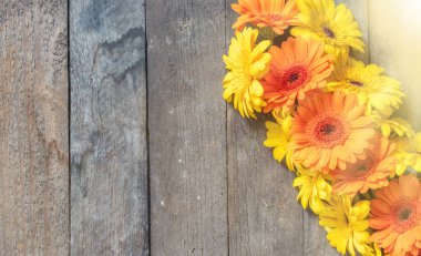 yellow gerbera flowers on wooden background
