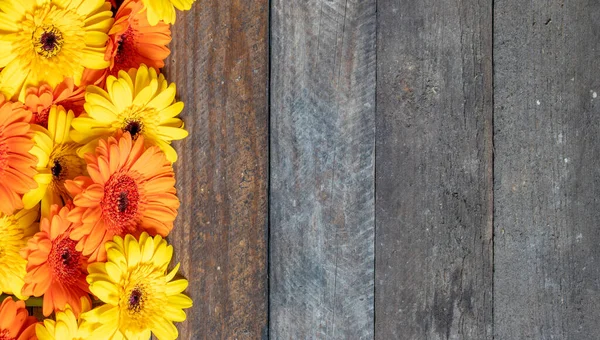 yellow gerbera flowers on wooden background