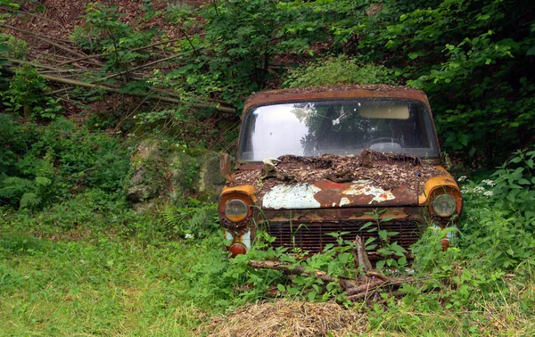 Car wreck in nature — Stock Photo, Image