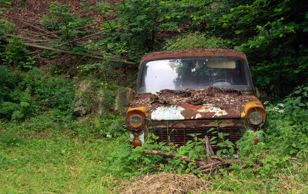 car wreck in nature