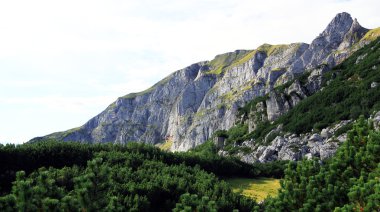 bir dağ yüz (rofan dağlar Alpleri'nde görüntüleyin)