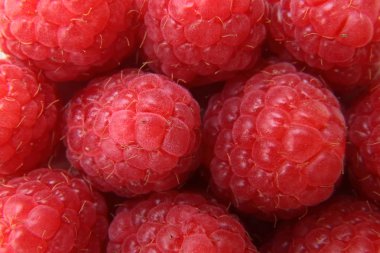 bir demet kırmızı ahududu closeup 