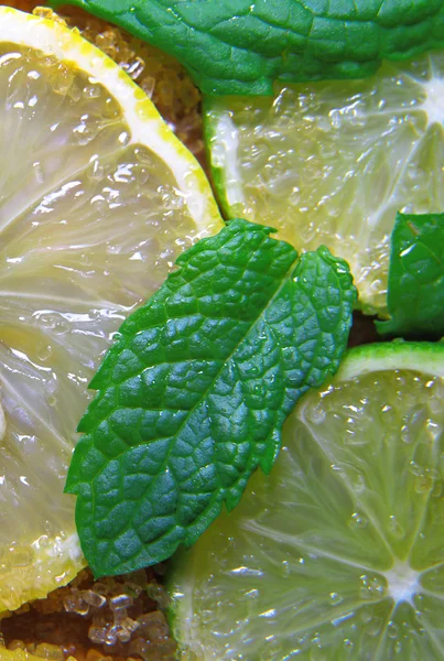 Ломтики лаймов и лимонов, листья мяты и тростникового сахара — стоковое фото