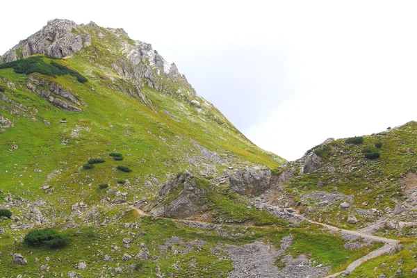 Vista del sendero en las montañas karwendel de los Alpes europeos — Foto de Stock