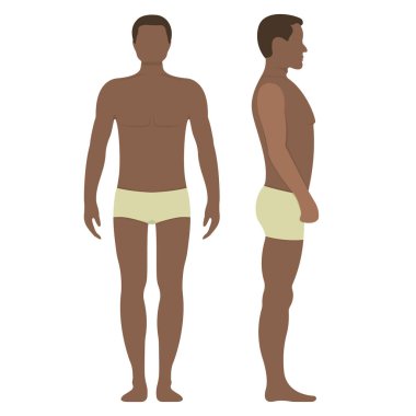 Siyah erkek anatomi insan karakteri, insanlar ön ve yan vücut siluetini taklit ediyor, beyaz, düz vektör çiziminde izole edilmiş. Çizgi film mankeni insanların ölçek konsepti.