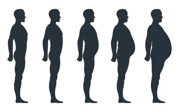 Vue Noire Silhouette Latérale Corps Graisse Poids Supplémentaire Anatomie Masculine — Image vectorielle