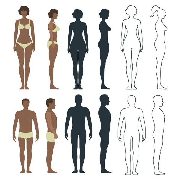 黑色的男性和女性解剖人物性格 人的虚拟正面和侧面身体轮廓 孤立于白色 平面矢量图解 轮廓和卡通人物尺度概念 — 图库矢量图片