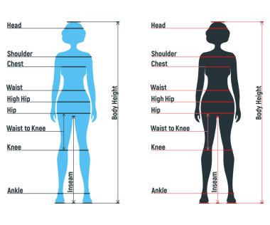 Kadın boyut tablosu insan karakteri, insanlar ön ve yan vücut siluetini taklit ediyor, beyaz, düz vektör illüstrasyonunda izole edilmiş. Çizgi filmdeki kadın manken insan boyut ölçeği.