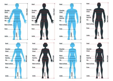Kadın ve erkek boyutlarında anatomi insan karakteri, insanlar ön ve yan vücut siluetine bakıyorlar, beyaz, düz vektör illüstrasyonunda izole edilmiş. Çizgi filmdeki kadın manken insan boyut ölçeği.