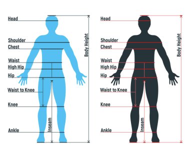 Erkek boyutu grafiği insan karakteri, insanlar ön ve yan vücut siluetini taklit ediyor, beyaz, düz vektör çiziminde izole edilmiş. Çizgi filmci manken insan boyut ölçeği.