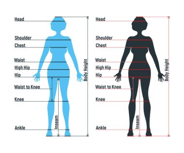 Kadın boyut tablosu insan karakteri, insanlar ön ve yan vücut siluetini taklit ediyor, beyaz, düz vektör illüstrasyonunda izole edilmiş. Çizgi filmdeki kadın manken insan boyut ölçeği.