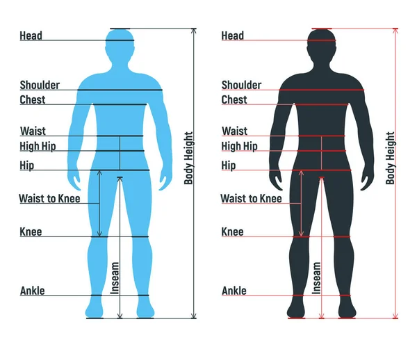 Female size chart anatomy human character, people dummy front and