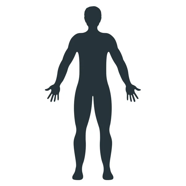 Mužský Lidský Charakter Lidé Přední Straně Těla Silueta Izolované Bílé — Stockový vektor