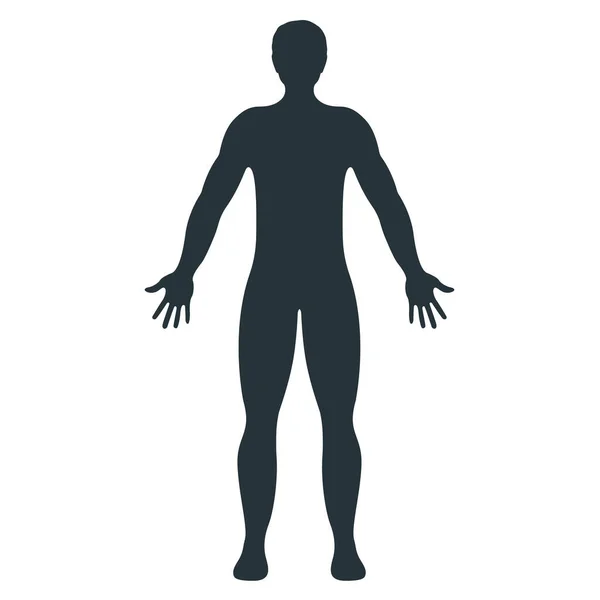 Hombre Personaje Humano Hombre Gente Silueta Frontal Del Cuerpo Aislado — Archivo Imágenes Vectoriales