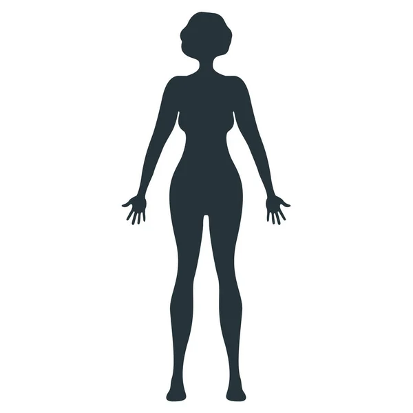 Personaje Humano Femenino Silueta Del Cuerpo Frontal Mujer Gente Aislado — Archivo Imágenes Vectoriales