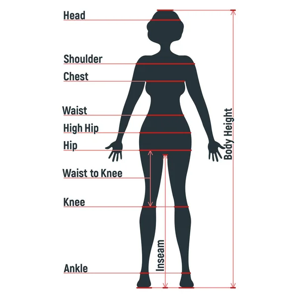 Anatomie Tableau Des Tailles Féminin Caractère Humain Personnes Factice Avant — Image vectorielle