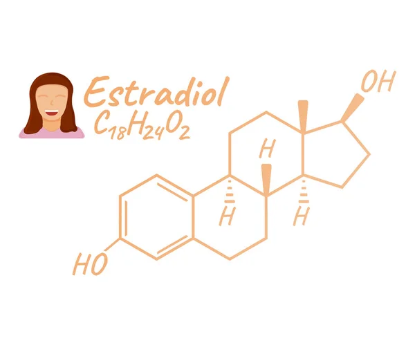 Human Hormone Estradiol Concept Chemical Skeletal Formula Icon Label Text — Stock Vector