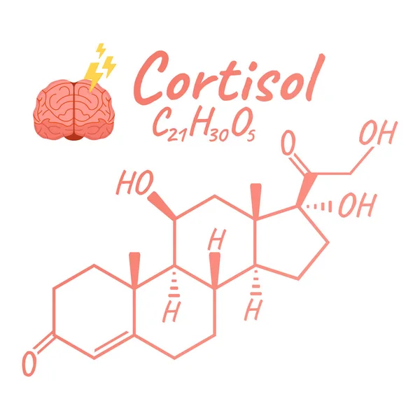 Human Hormone Cortisol Concept Chemical Skeletal Formula Icon Label Text — Stock Vector